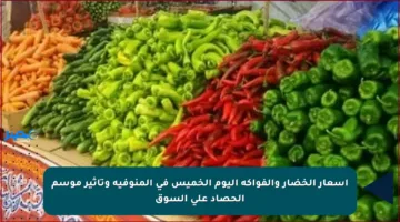 أسعار الخضار والفواكه اليوم الخميس في المنوفية وتأثير موسم الحصاد على السوق